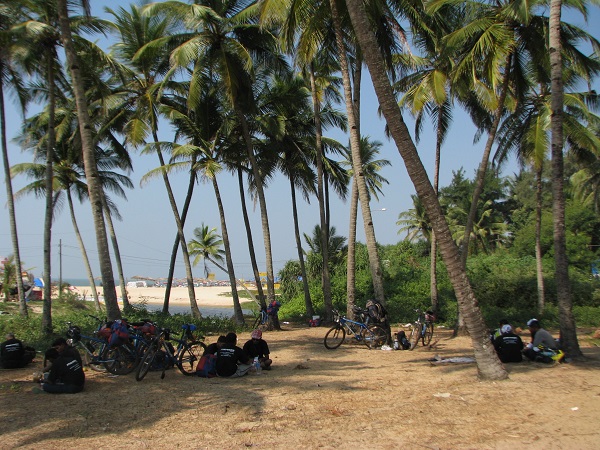 A group of cyclists rest under palm trees at a beach at Goa, India.